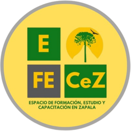 Logo de COLEGIO EFECeZ